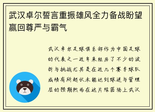 武汉卓尔誓言重振雄风全力备战盼望赢回尊严与霸气